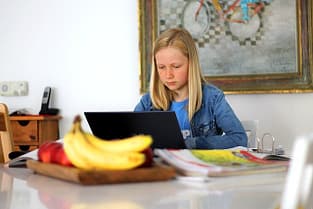 Online Learning During